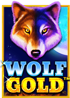 แนะนำ เว็บ แทง เกมสล็อตที่ควรลอง